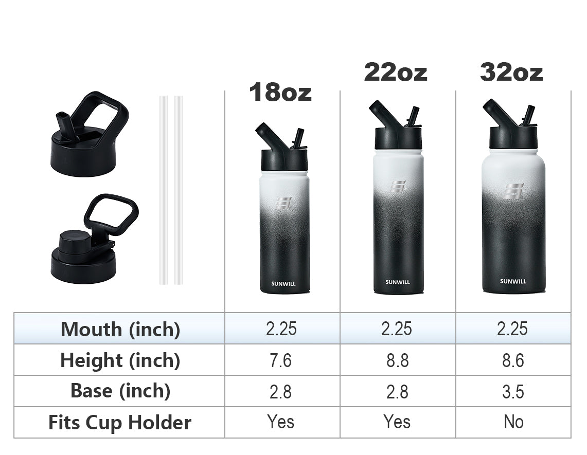 32oz Insulated Water Bottle with Straw - Powder Coated Gradiant Black White